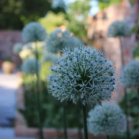 Geestzuhause * Heeslingen