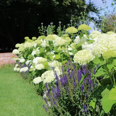 Апартаменты Geestzuhause