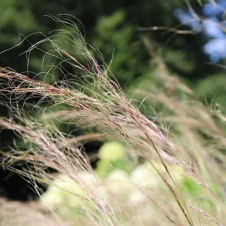 Geestzuhause * Heeslingen