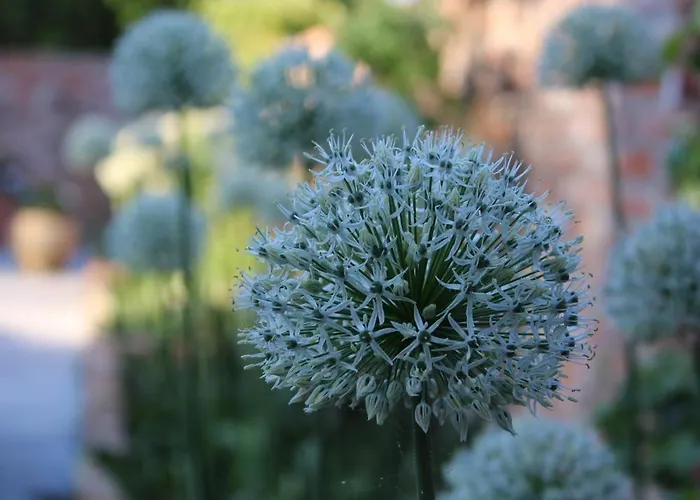 Geestzuhause * Heeslingen