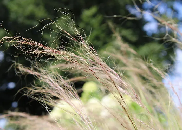 Geestzuhause * Heeslingen